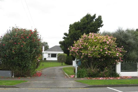 Photo of property in 8a York Street, Levin, 5510