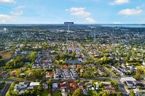 Photo of property in 141b Seabrook Avenue, New Lynn, Auckland, 0600