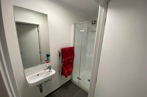 Photo of property in 74 Nugget Avenue, Hobsonville, Auckland, 0616