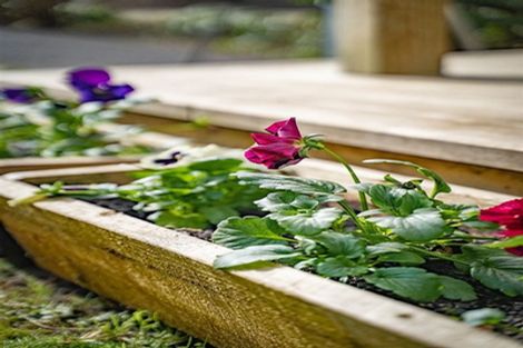 Photo of property in 8 Newstead Avenue, Browns Bay, Auckland, 0632