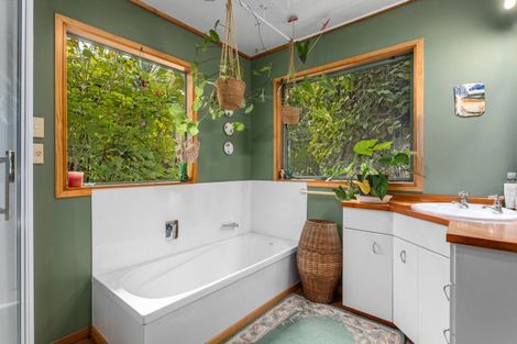 Photo of property in 245 Mccoy Road, Wainui, Opotiki, 3198