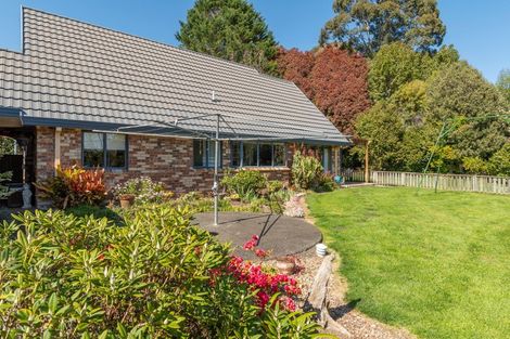 Photo of property in 472 Joyce Road, Pyes Pa, Tauranga, 3173