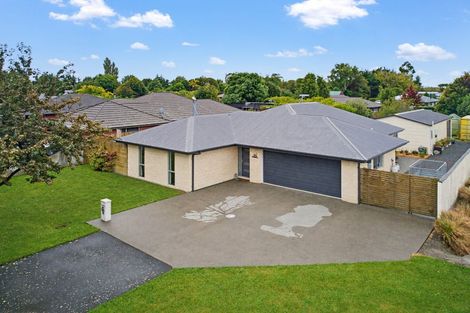 Photo of property in 29 Bridge Street, Southbridge, 7602