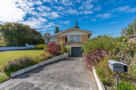 Photo of property in 22 Wake Street, Chartwell, Hamilton, 3210