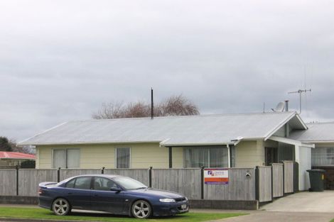 Photo of property in 17 Adkin Avenue, Levin, 5510