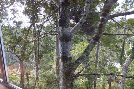 Photo of property in 35-37 Lone Kauri Road, Karekare, New Lynn, 0772