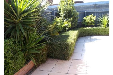 Photo of property in 17a Croydon Street, Sydenham, Christchurch, 8023