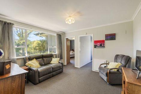 Photo of property in 17 Harris Street, Waitara, 4320