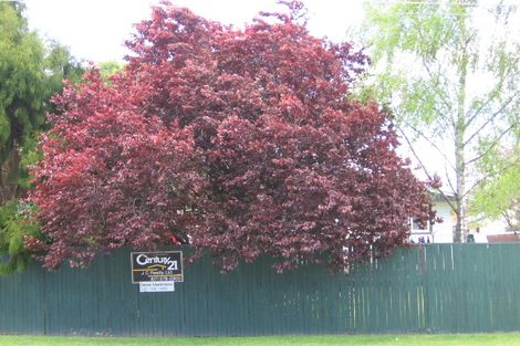 Photo of property in 32b Tamatea Road, Taupo, 3330