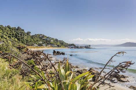 Photo of property in 135 Marine Parade, Seatoun, Wellington, 6022