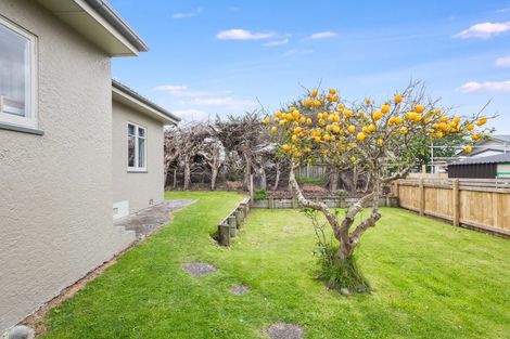 Photo of property in 57a Bluegum Road, Paraparaumu Beach, Paraparaumu, 5032
