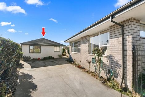 Photo of property in 18 Bidwell Place, Hillmorton, Christchurch, 8025
