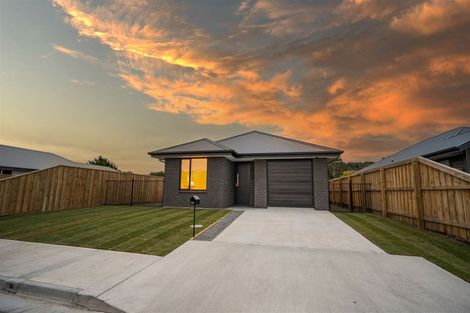 Photo of property in 53 Henshaw Street, Woodend, 7610