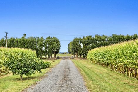 Photo of property in 164 Otakiri Road, Edgecumbe, Whakatane, 3192