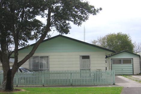 Photo of property in 32 Grenville Street, Levin, 5510