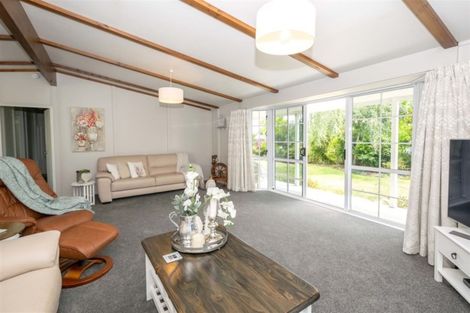 Photo of property in 17 Solway Drive, Witherlea, Blenheim, 7201