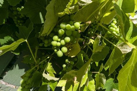 Photo of property in 19 Thirlmere Street, Wainuiomata, Lower Hutt, 5014