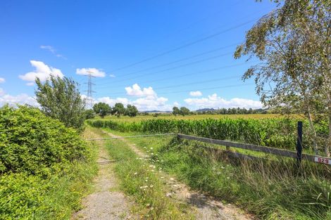 Photo of property in 927 Taniwha Road, Waerenga, Te Kauwhata, 3781