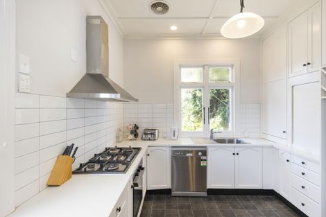 Photo of property in 53 Limbrick Street, Terrace End, Palmerston North, 4410