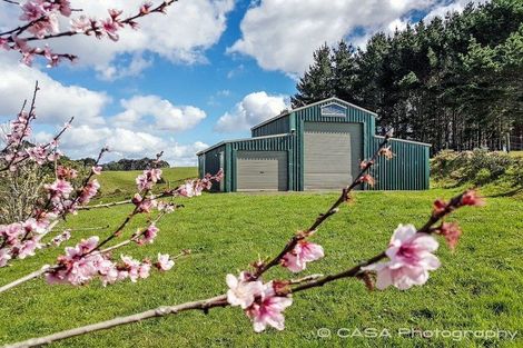 Photo of property in 141 Adams Road, Glenbervie, Whangarei, 0175