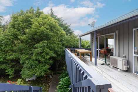 Photo of property in 31 Park View Avenue, Feilding, 4702