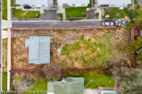 Photo of property in 8 Montgomery Street, Levin, 5510