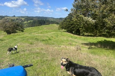 Photo of property in 492 Wairere Road, Paparoa, 0571