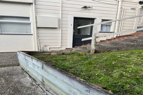 Photo of property in 45 Apuka Street, Brooklyn, Wellington, 6021