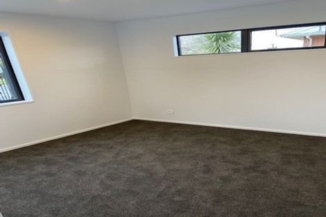 Photo of property in 141a Champion Street, Edgeware, Christchurch, 8013