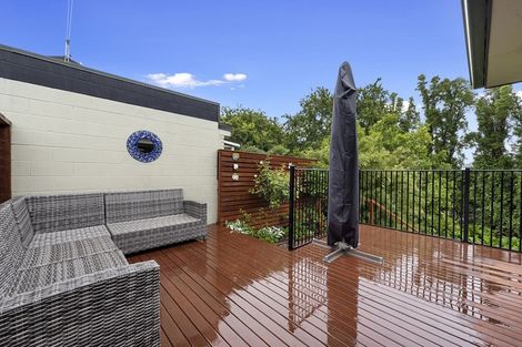 Photo of property in 137a Clarkin Road, Fairfield, Hamilton, 3214