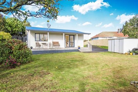 Photo of property in 17 Beatrix Street, Avondale, Auckland, 1026