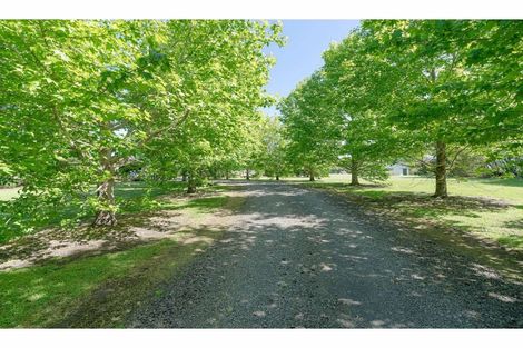 Photo of property in 194 Ness Road, Waipapa, Kerikeri, 0295