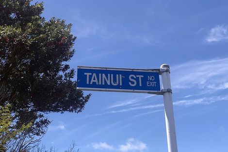 Photo of property in 14a Tainui Street, Frankton, Hamilton, 3204