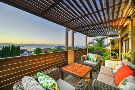 Photo of property in 331 Princes Drive, Britannia Heights, Nelson, 7010