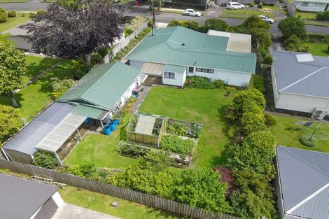 Photo of property in 29 Antonio Street, Stratford, 4332