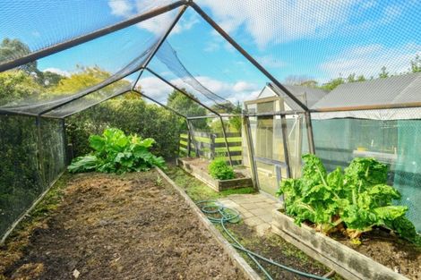 Photo of property in 555 Back Ormond Road, Makauri, Gisborne, 4071