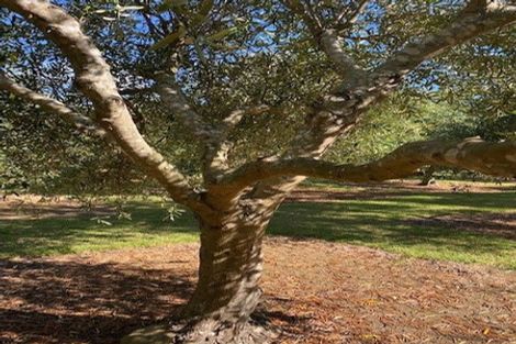 Photo of property in 478 Hihi Road, Hihi, Mangonui, 0494