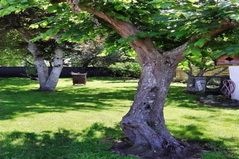 Photo of property in 28 Domain Road, Waipawa, 4210