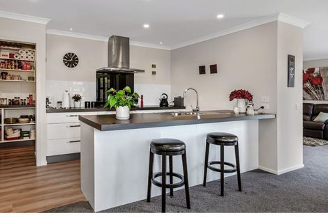 Photo of property in 169 John Burke Drive, Aotea, Porirua, 5024