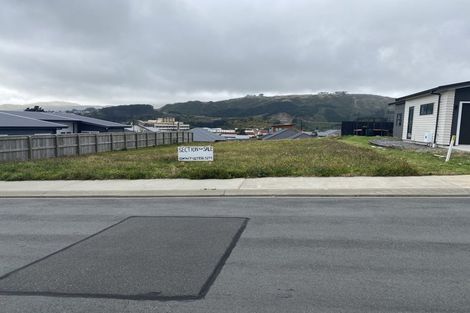 Photo of property in 47 Hokioi Drive, Kenepuru, Porirua, 5022