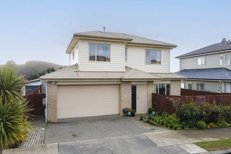 Photo of property in 243 Mark Avenue, Grenada Village, Wellington, 6037