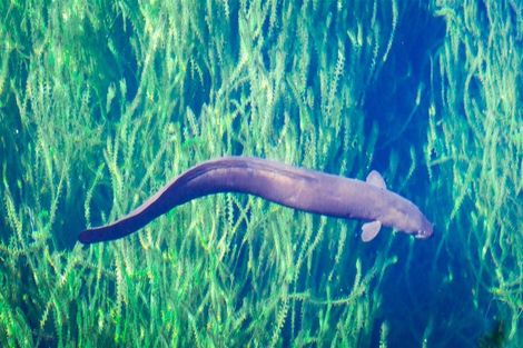 Photo of property in 53 Porika Road, Rotoroa, Murchison, 7077