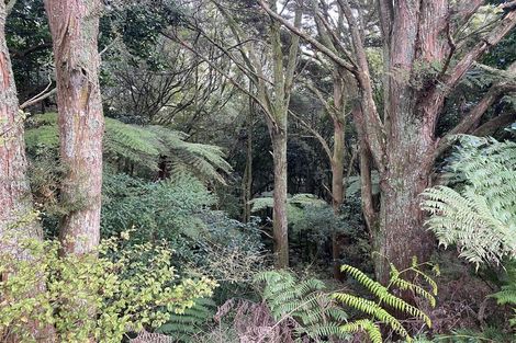 Photo of property in 87 Kopuku Road, Waerenga, Te Kauwhata, 3781