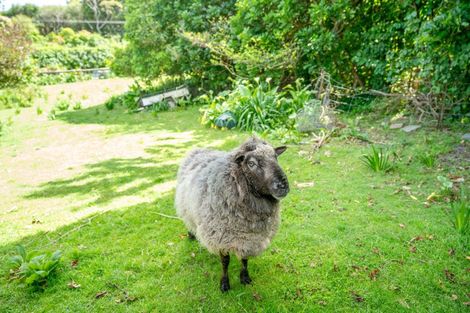 Photo of property in 101 Huia Street, Waikanae, 5391