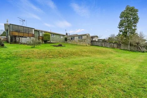 Photo of property in 98 Reservoir Street, Putaruru, 3411