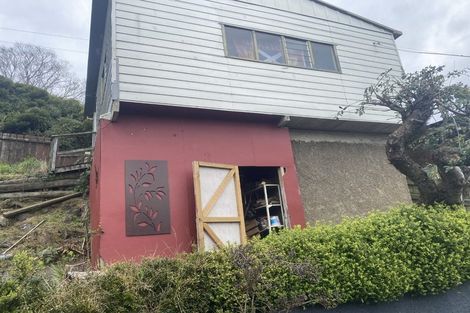 Photo of property in 100 Forbury Road, Saint Clair, Dunedin, 9012