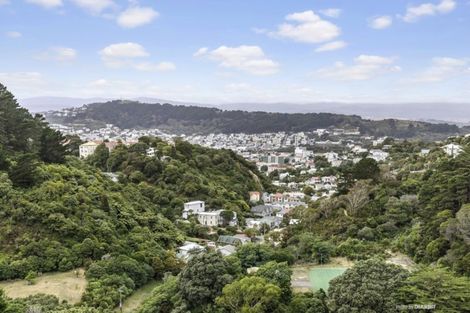 Photo of property in 158 Raroa Road, Aro Valley, Wellington, 6012