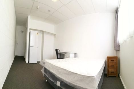 Photo of property in 12 Knox Street, Hamilton Central, Hamilton, 3204