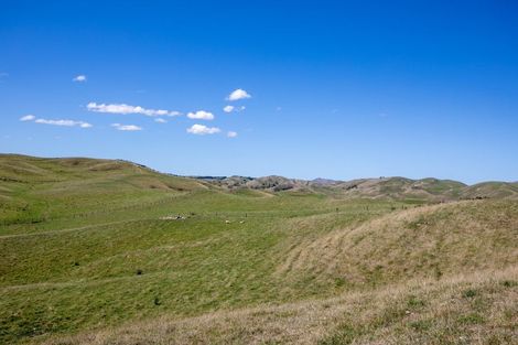 Photo of property in 300 Pattison Road, Akina, Hastings, 4122