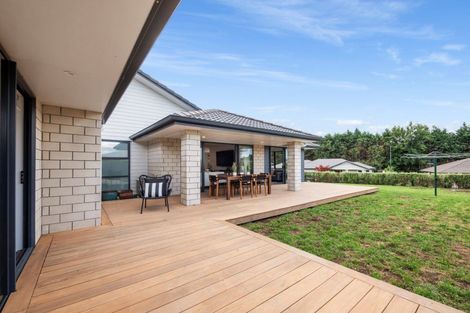 Photo of property in 31 Bertrowe Drive, Ohauiti, Tauranga, 3112